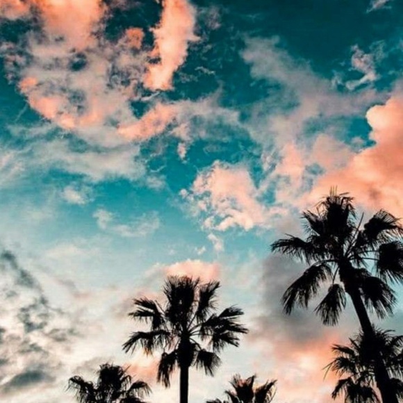 Meet your Posher, Mary - Picture 1 of 1